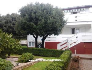 Apartmani Neda 