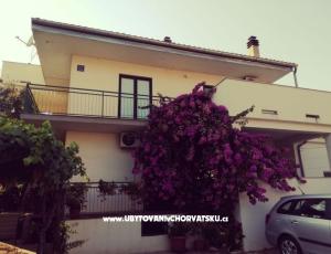 Apartmani Danica