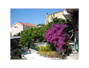 Apartmani - Minka i Vite