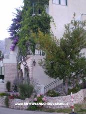 Apartmani Antonela Drašnice