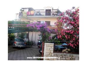 Apartmani Ante