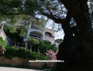Apartmani Ive