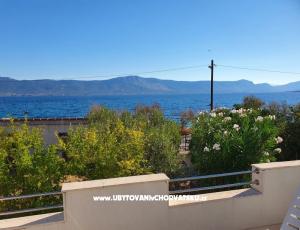 Apartman Nikola´s