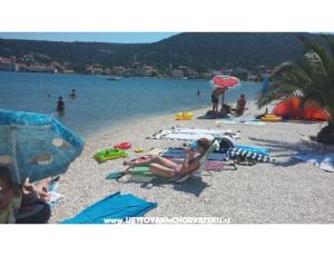 Apartmani Tri palme