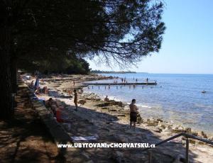 Apartmani San Pelegrin