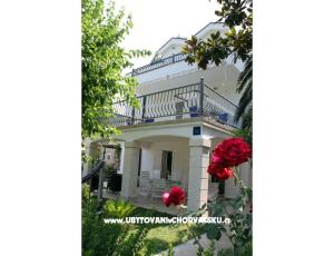 Apartmani Musa