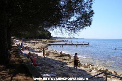 Apartmani San Pelegrin