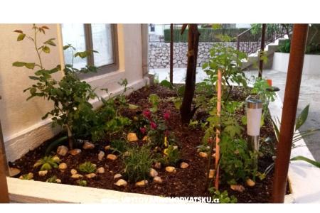 Apartman ANTON foto 3
