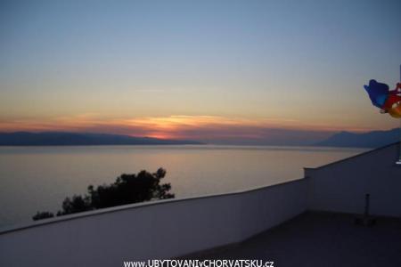Apartmani Covic foto 2