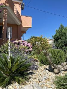 Apartman  Bibinje Hrvatska