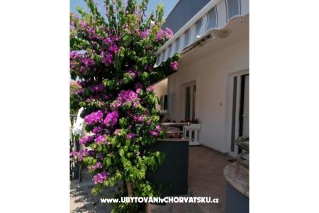 Apartmani Šime foto 3
