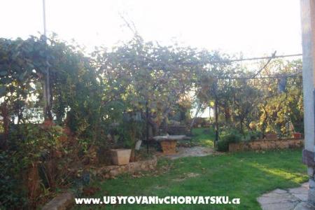 Apartmani and Kuća Spika foto 5