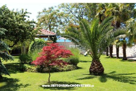 Dragan Apartmani foto 5