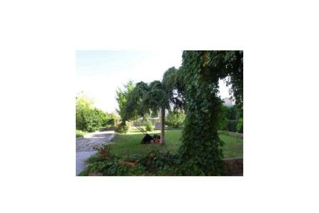 Apartman Smilja     foto 3