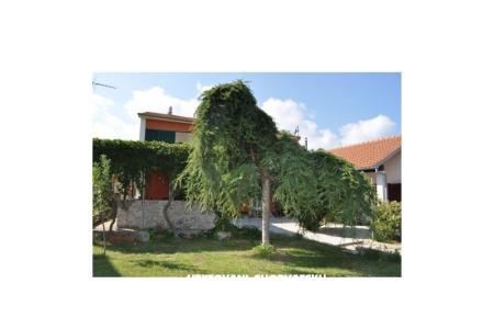 Apartman Smilja     foto 5