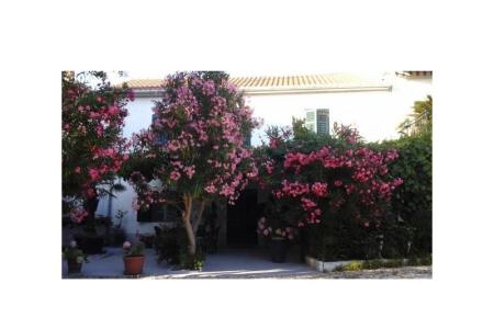 Apartmani Gabi foto 2