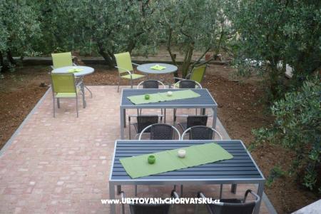 Apartmani Olive foto 4