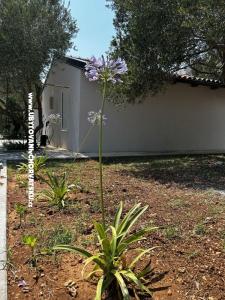 Primorje – Biograd Hrvatska