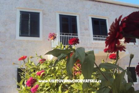 Apartmani  Petar foto 3