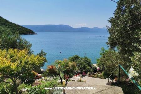 Apartmani Maja Blace Hrvatska