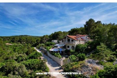 Apartmani Villa Dragica foto 5