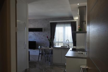 Luxury Apartmani sa bazenom foto 5