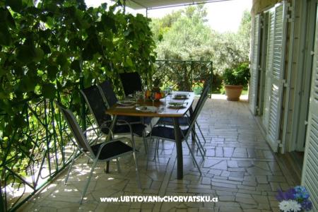 Villa Nikola foto 5