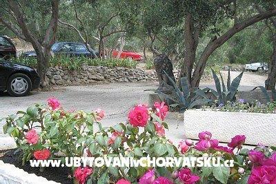Apartmani Nada Mustapić foto 3
