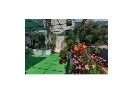 Apartmani Ribičić Brela foto 4