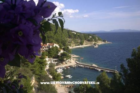 Apartmani Jagoda foto 3