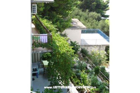 Apartmani  Ivo Pikolo foto 4