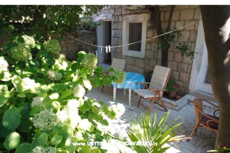 Apartman Milu foto 3