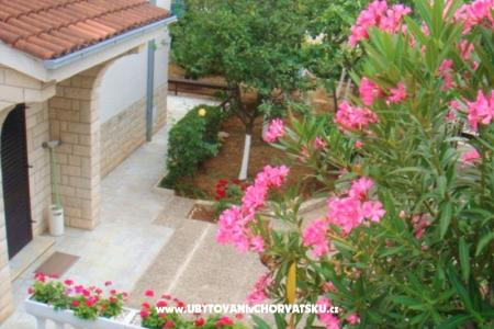 Apartmani Arijana foto 2