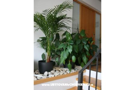 Apartmani Katarina foto 4