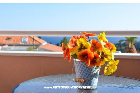 Apartmani Erminia Luce foto 5