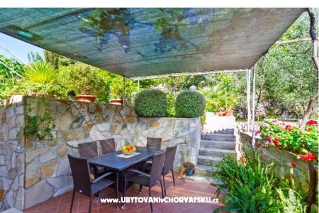 Apartmani Miovic Molunat foto 4