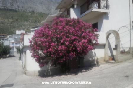 Apartman Pero foto 3