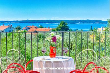 Apartmani Amalia Fažana foto 2