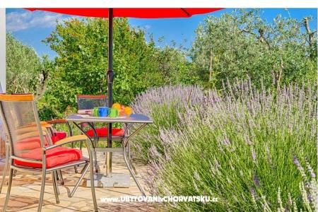 Apartmani Amalia Fažana foto 5