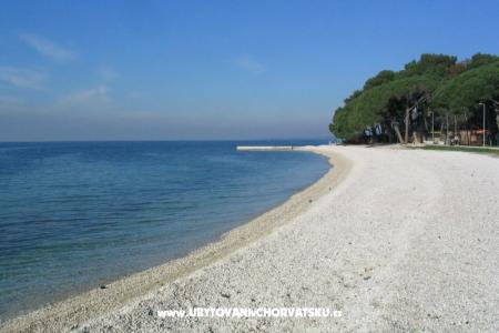 Apartmani L Fažana Hrvatska