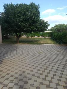 Apartmani Colić foto 3