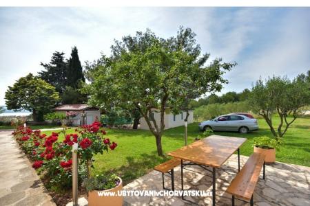 Apartmani Miluška foto 5
