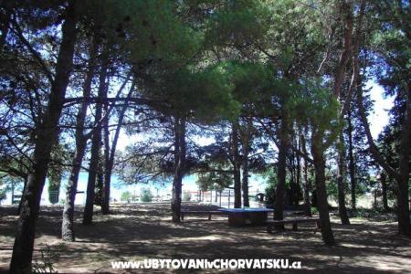 Apartmani PARK foto 5
