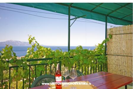 Apartmani i sobe Maslina foto 5