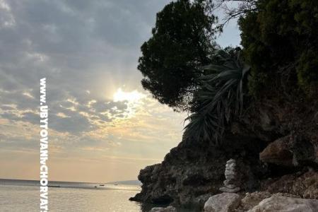 Apartmani NIKOLA foto 5