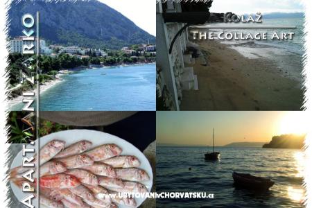 Apartmani Žarko foto 3