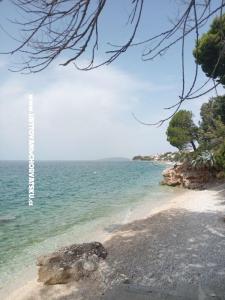 Apartmani Lela Brist foto 4