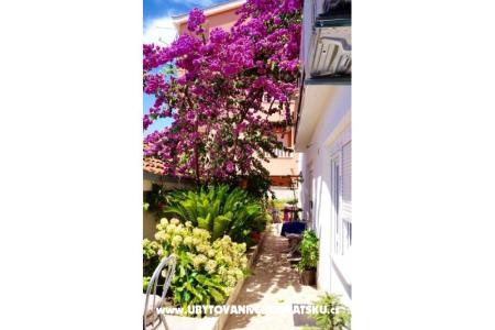 Apartmani Jerković Gradac foto 5