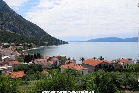 Apartmani Gradina foto 5