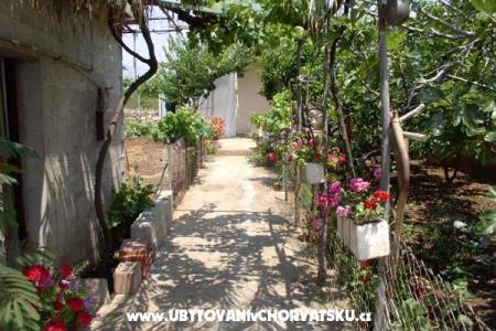 Apartman Antea foto 3